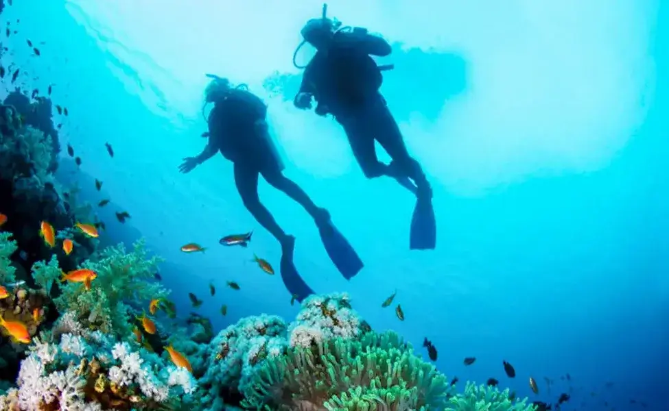 Deep Diving to explore Mauritius sea beauty
