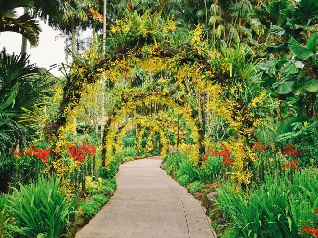 beautiful gardens in mauritius